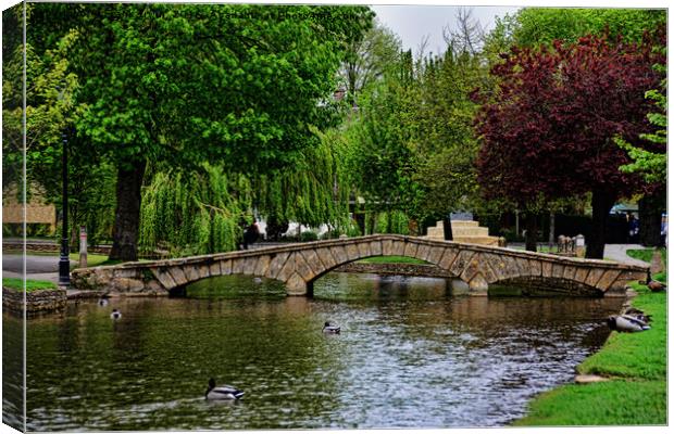 Bourton-on-the-water - Little Venice Canvas Print by Frank Irwin