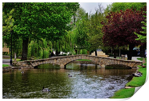 Bourton-on-the-water - Little Venice Print by Frank Irwin
