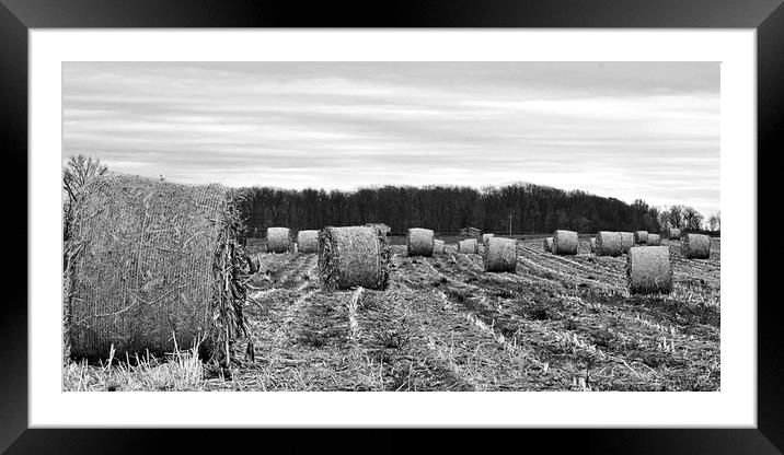 "Hay Bales In Ohio (B&W)" Framed Mounted Print by Jerome Cosyn