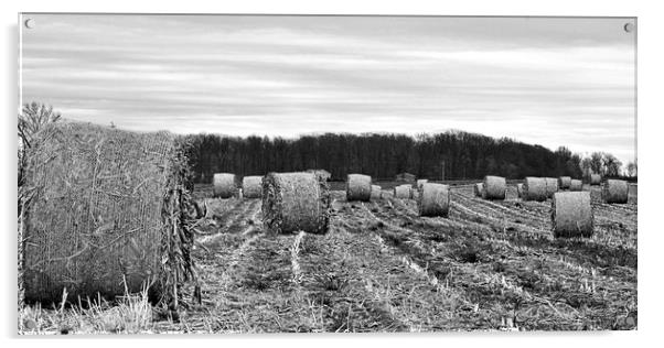 "Hay Bales In Ohio (B&W)" Acrylic by Jerome Cosyn
