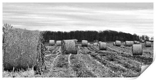 "Hay Bales In Ohio (B&W)" Print by Jerome Cosyn