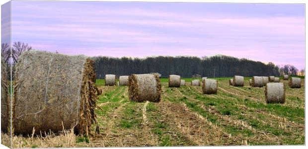 "Hay Bales In Ohio" Canvas Print by Jerome Cosyn