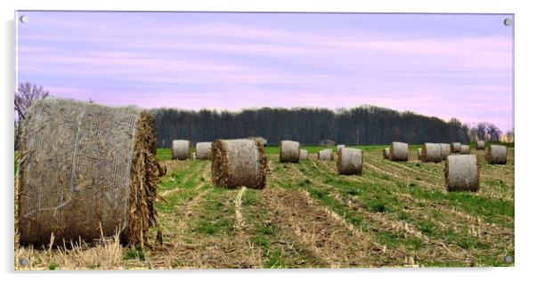 "Hay Bales In Ohio" Acrylic by Jerome Cosyn