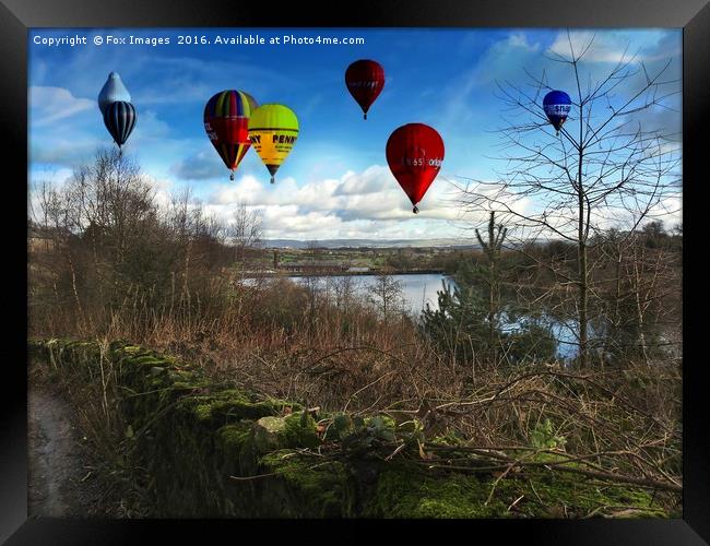 countryside balloons Framed Print by Derrick Fox Lomax