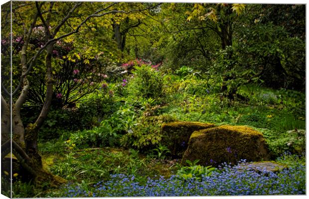 The Fairy Dell. Canvas Print by Colin Metcalf