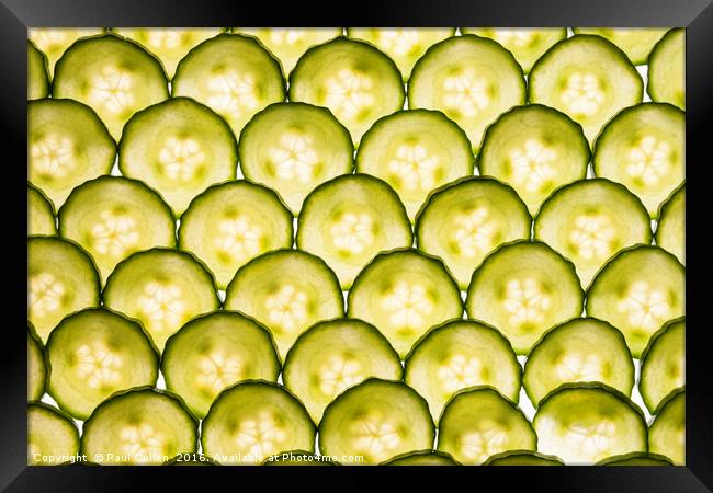 Sliced Cucumber Framed Print by Paul Cullen
