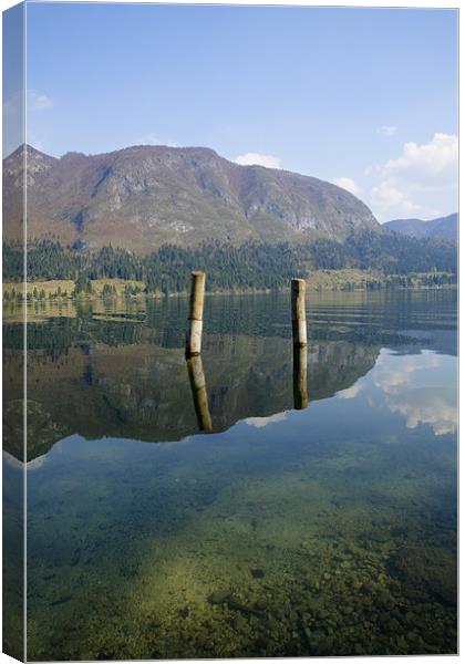 Reflections Canvas Print by Ian Middleton