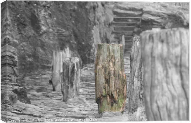 sea wall timbers Canvas Print by mike fox