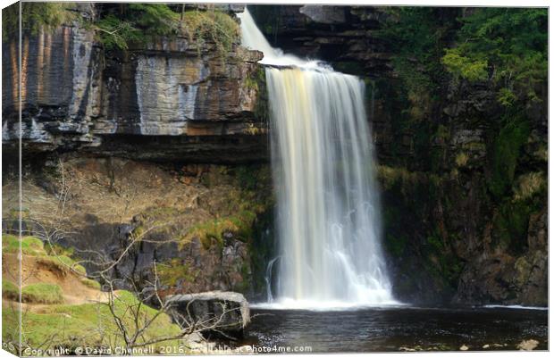 Thornton Force Waterfall  Canvas Print by David Chennell