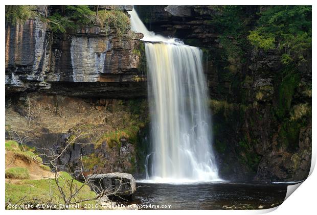Thornton Force Waterfall  Print by David Chennell