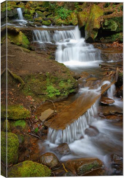 Lumsdale Cascading Falls Canvas Print by Darren Galpin