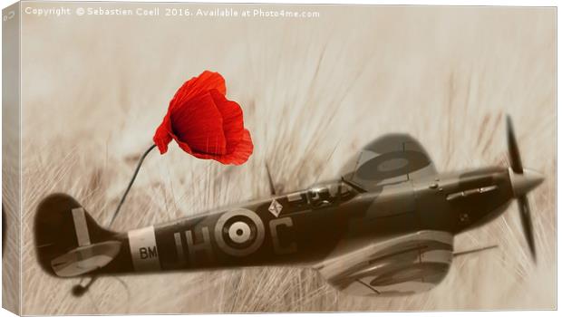 Remembrance field  Canvas Print by Sebastien Coell