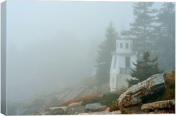 "Foggy Coast"  Canvas Print by Jerome Cosyn
