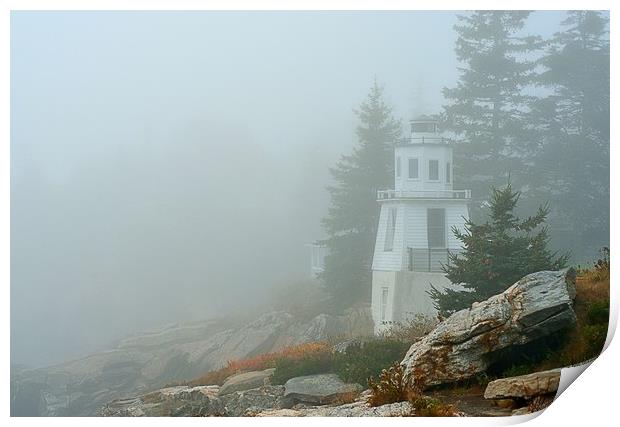 "Foggy Coast"  Print by Jerome Cosyn