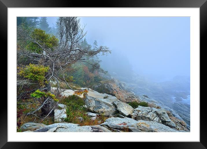 "Foggy Coast II" Framed Mounted Print by Jerome Cosyn