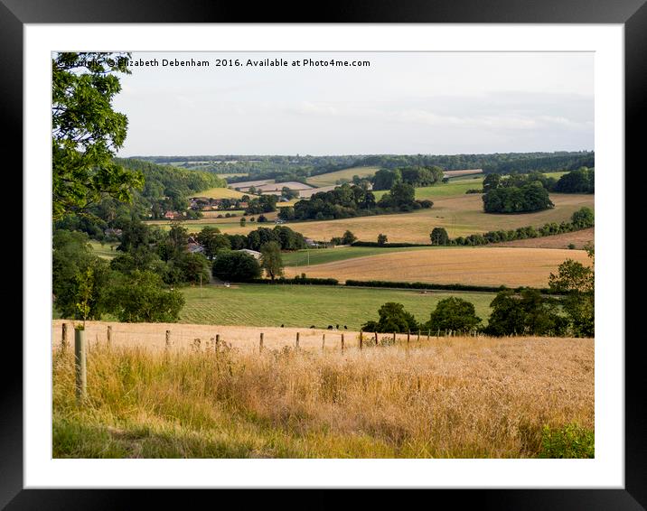 Stonor Landscape, Oxfordshire Framed Mounted Print by Elizabeth Debenham