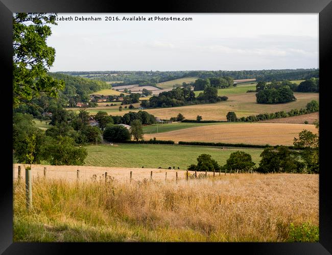 Stonor Landscape, Oxfordshire Framed Print by Elizabeth Debenham