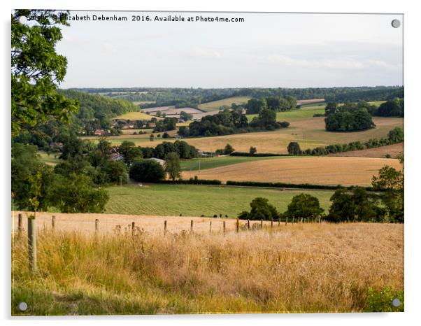Stonor Landscape, Oxfordshire Acrylic by Elizabeth Debenham
