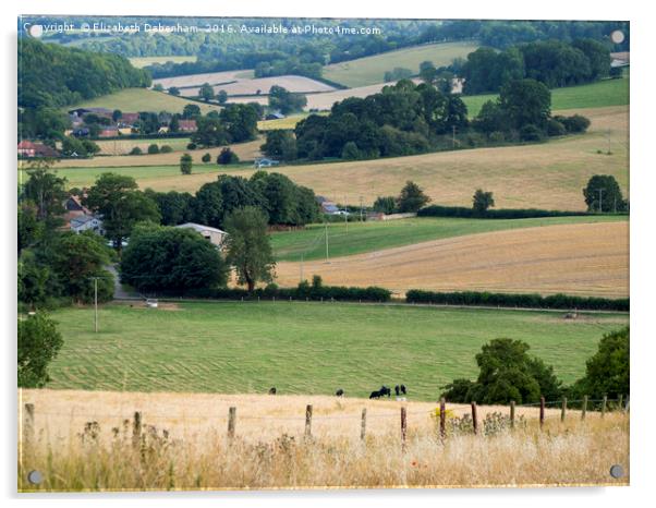 Stonor Valley, Oxfordshire Acrylic by Elizabeth Debenham