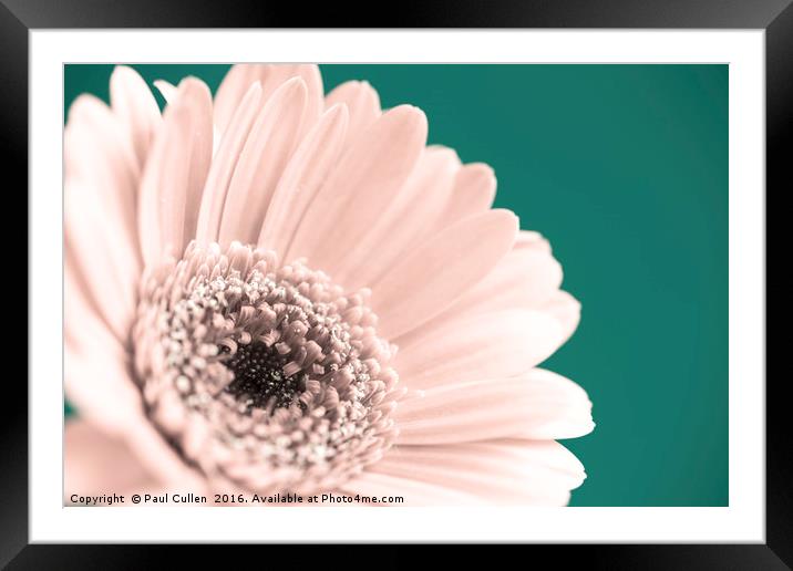 Flowers Framed Mounted Print by Paul Cullen