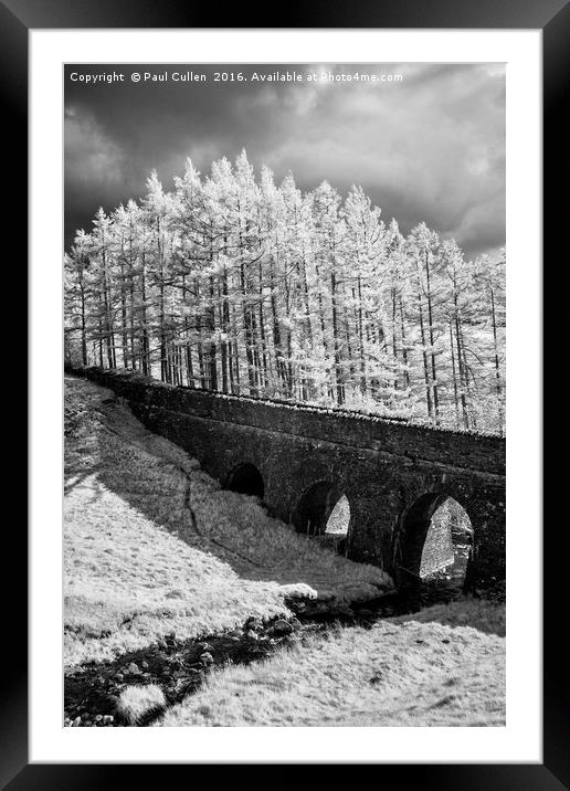 Bridge Whinlatter Pass 6 Framed Mounted Print by Paul Cullen