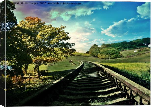 Countryside railway Canvas Print by Derrick Fox Lomax