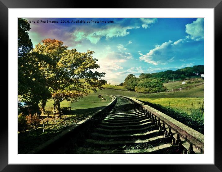 Countryside railway Framed Mounted Print by Derrick Fox Lomax