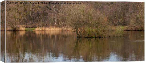 Winter on the lake Canvas Print by Dave Angood