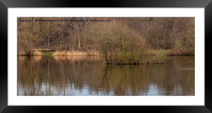 Winter on the lake Framed Mounted Print by Dave Angood