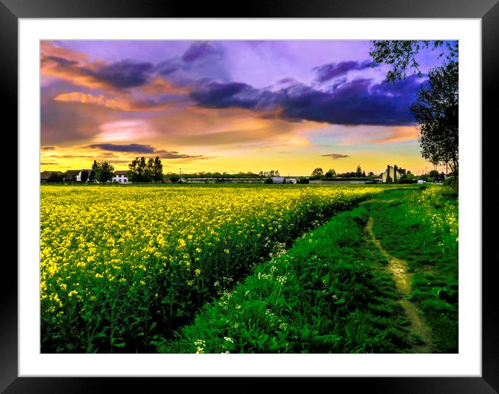 Rapeseed Sunset Framed Mounted Print by Jason Williams