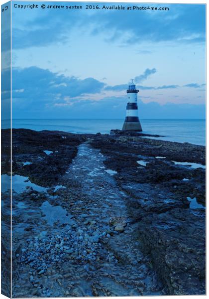 LIGHT HOUSE PATH Canvas Print by andrew saxton