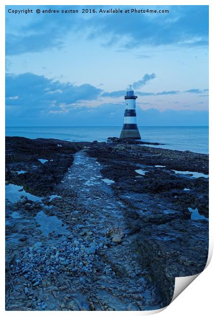 LIGHT HOUSE PATH Print by andrew saxton