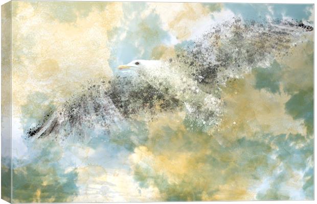 Vanishing Seagull Canvas Print by Melanie Viola
