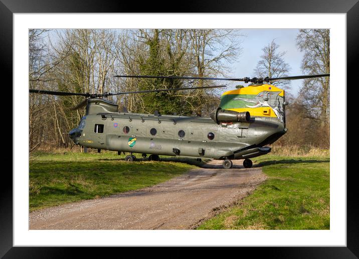 Special tail Chinook Framed Mounted Print by Oxon Images