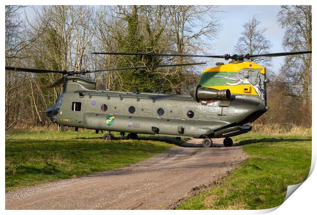 Special tail Chinook Print by Oxon Images