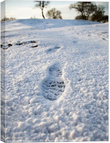 Footstep in the Snow Canvas Print by Buster Brown