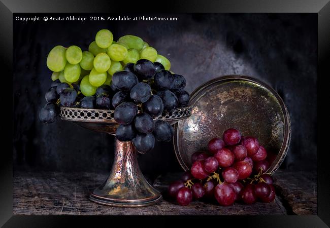 Vintage grapes Framed Print by Beata Aldridge