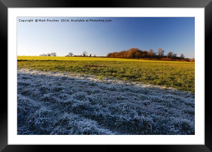 Winter Frosty Grass Landscape with Vibrant Blue Sk Framed Mounted Print by Mark Purches