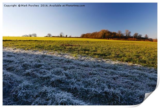 Winter Frosty Grass Landscape with Vibrant Blue Sk Print by Mark Purches