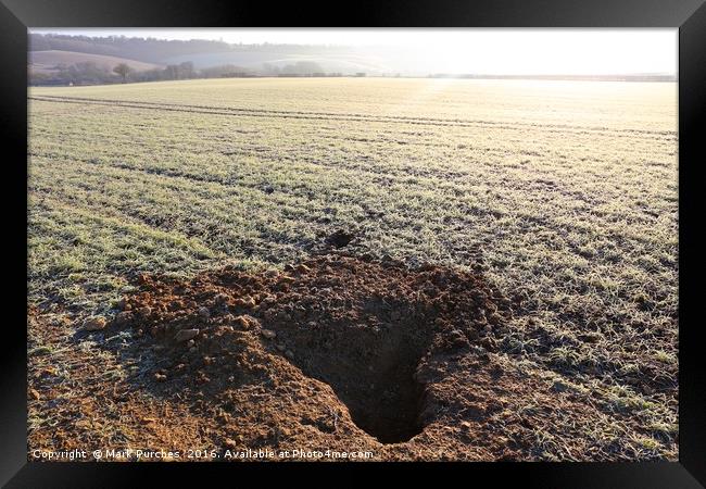 Badger Den Burrow in Frosty Field Framed Print by Mark Purches