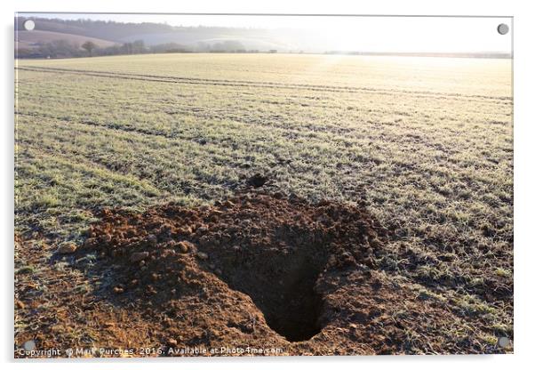 Badger Den Burrow in Frosty Field Acrylic by Mark Purches