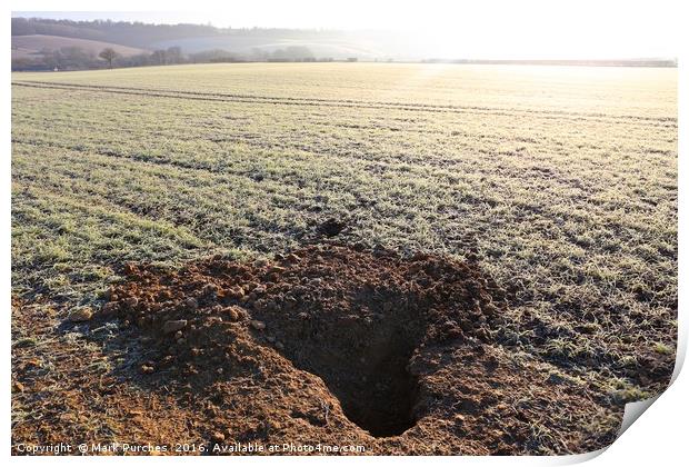 Badger Den Burrow in Frosty Field Print by Mark Purches