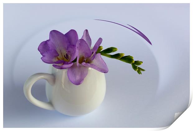 purple freesia flower Print by Marinela Feier
