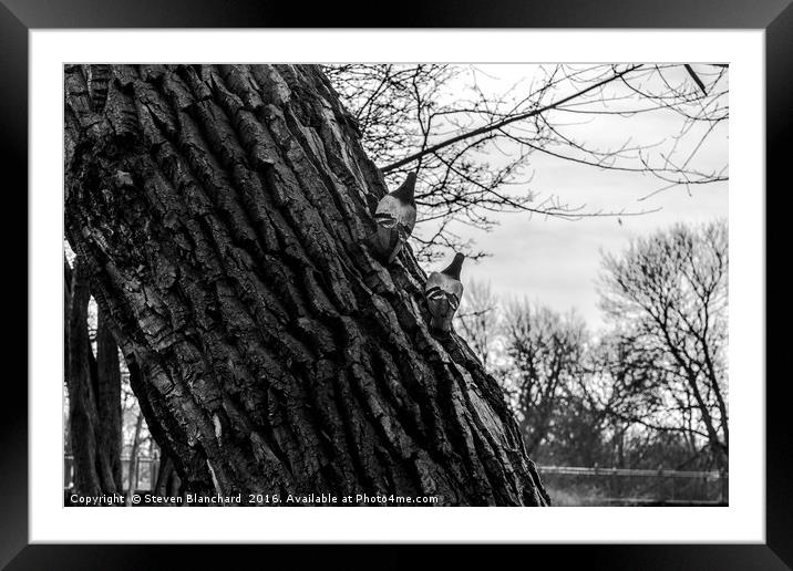 Taking a break Framed Mounted Print by Steven Blanchard