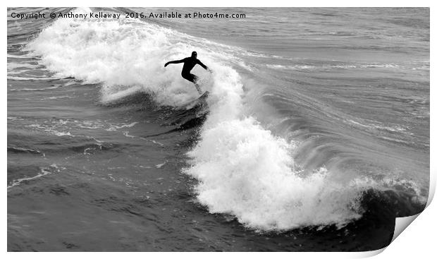                SURFS UP                 Print by Anthony Kellaway