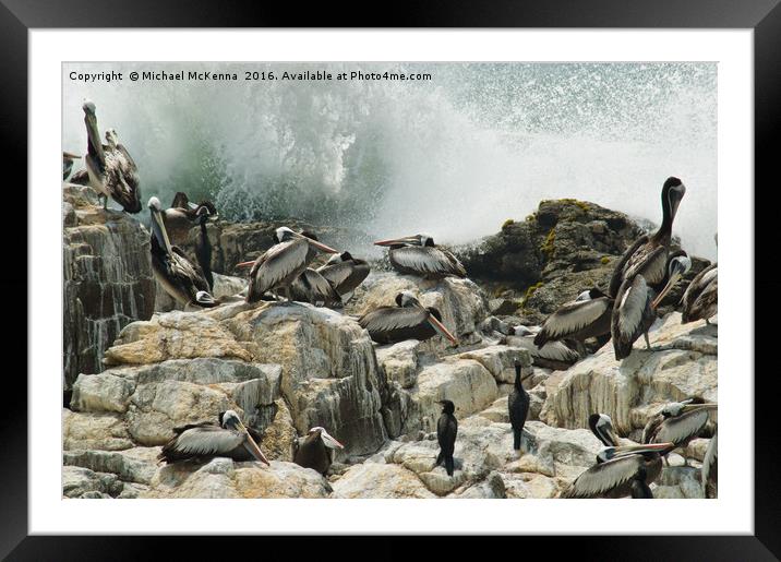Pelicans of Peru Framed Mounted Print by Michael McKenna