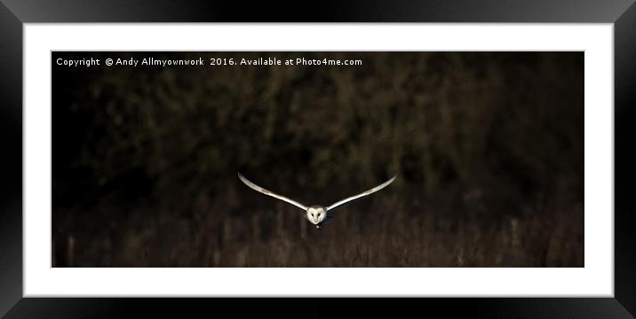 Barn Owl at Dusk  Framed Mounted Print by Gypsyofthesky Photography