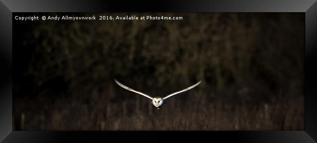 Barn Owl at Dusk  Framed Print by Gypsyofthesky Photography