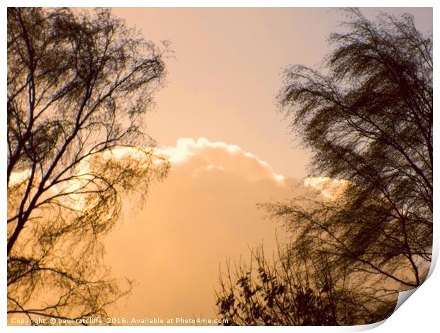 tree clouds Print by paul ratcliffe