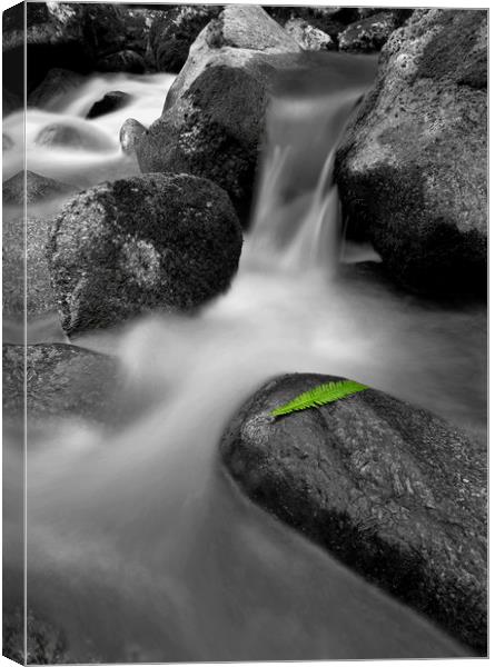 Waterfall with a single green leaf Canvas Print by Shaun Jacobs